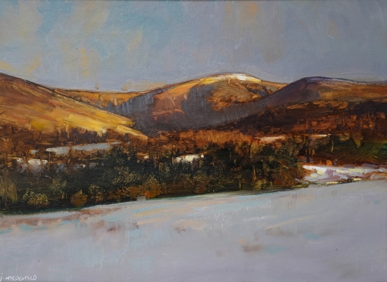 oil on linen, 16" x 20"