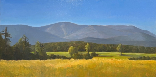 oil on canvas, 20" x 40"